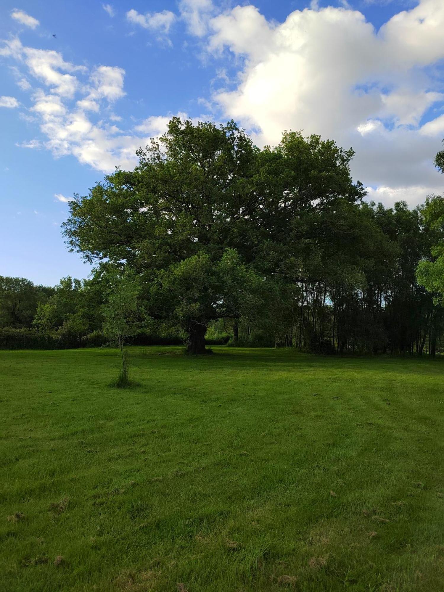 Gite De La Janiere Sainte-Luce-sur-Loire Buitenkant foto